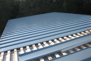 katus Vaskjalas1.jpg